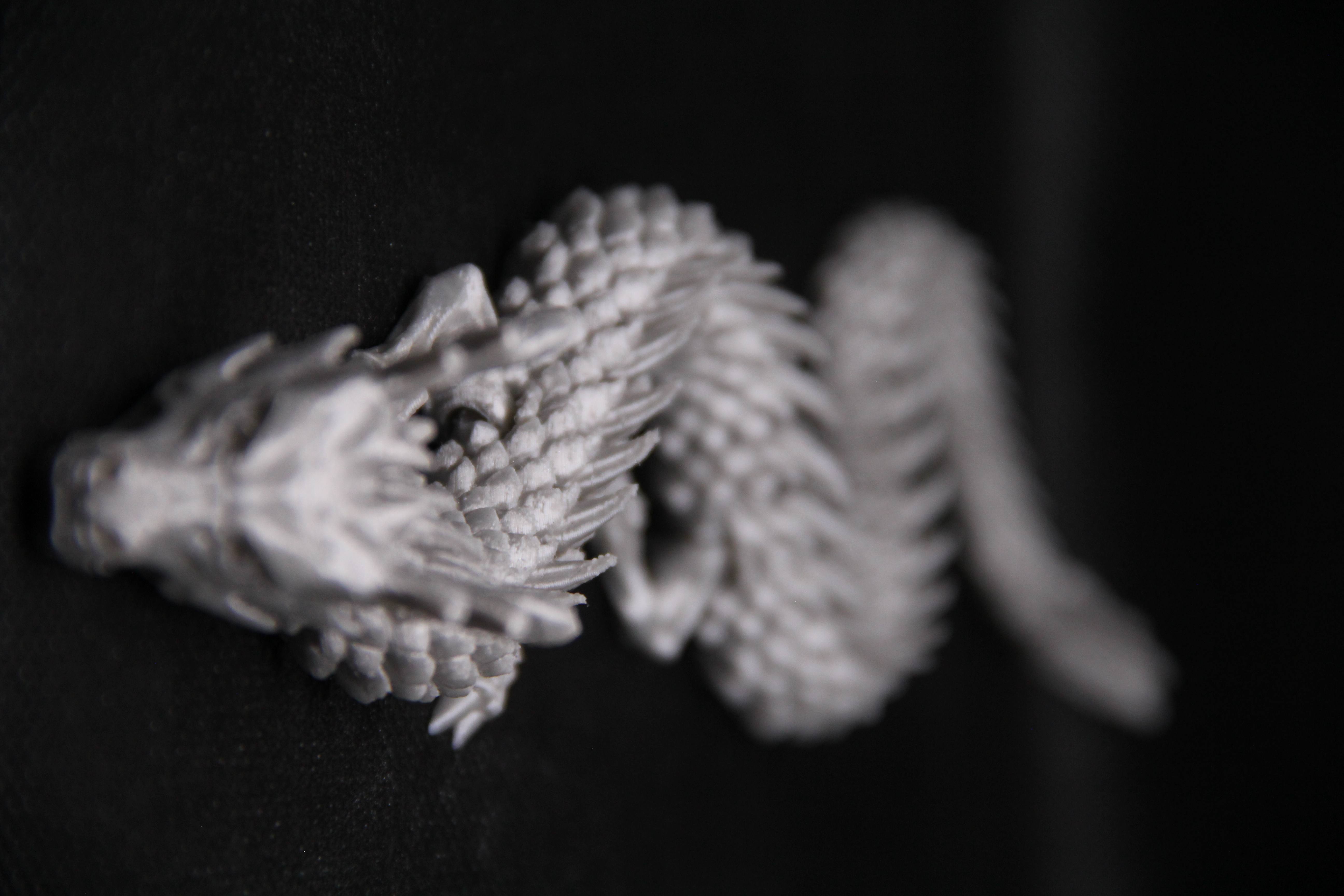 Articulated Dragon