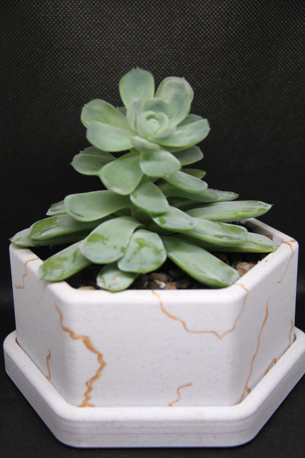 Kintsugi Geometric Planter