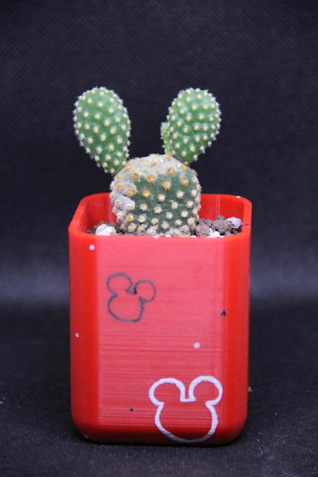 Modular Mini Planter