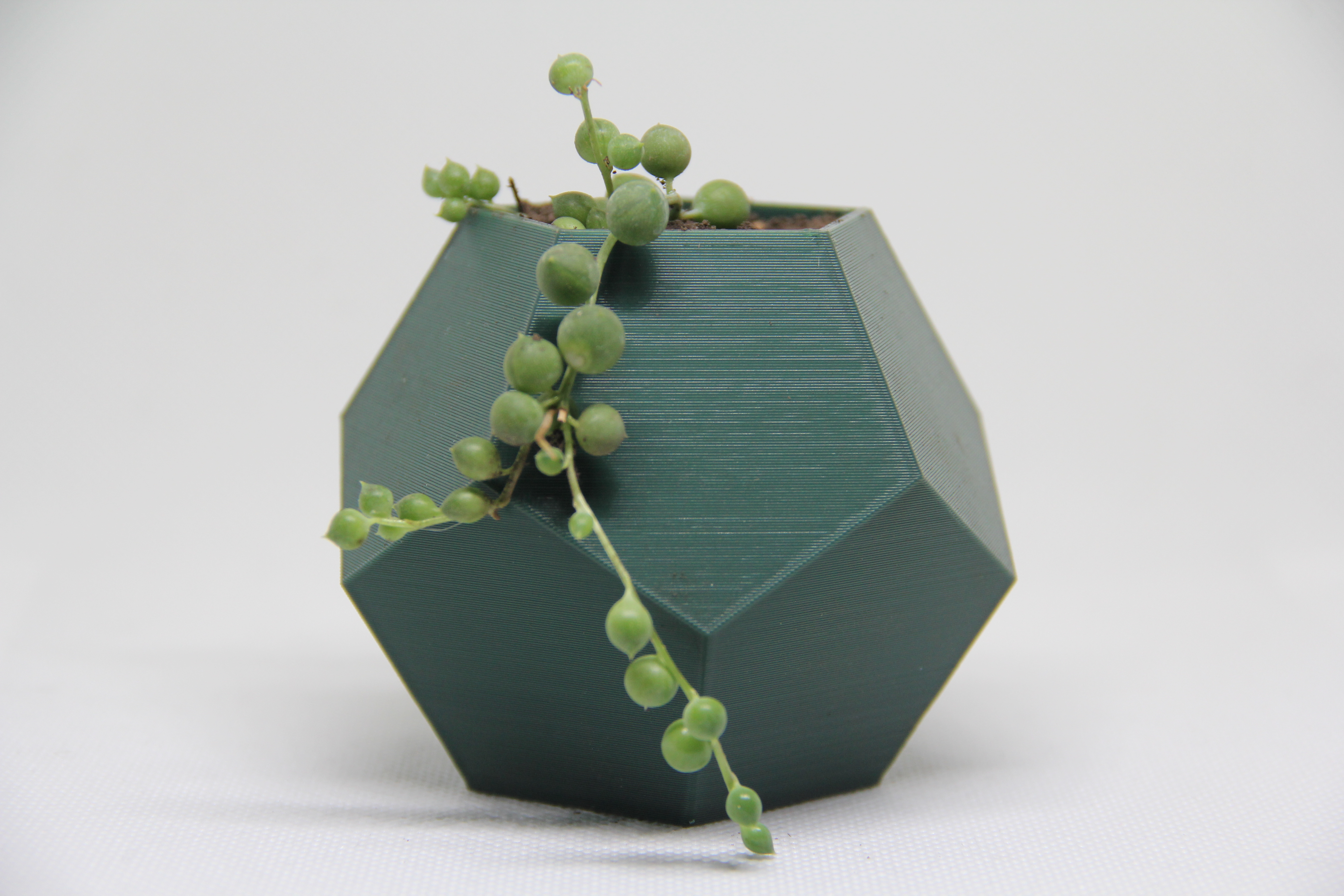 Low-Poly Faceted Planter